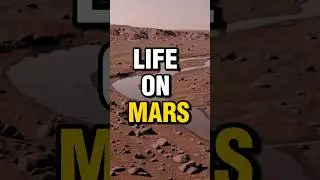 NASA's shocking find
