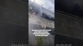 Woman hailed a hero for saving dogs before herself from fire in Philippines
