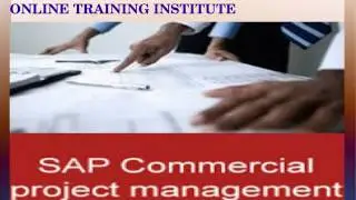 Sap Commercial Project Management Online Training Singapore
