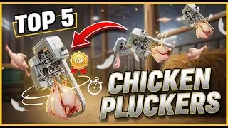 TOP 5 Best Chicken Pluckers 2026 | A Fast and Efficient Way to Process Poultry