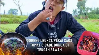 GORENG LEUNCA PAKAI SAOS TOMAT & CABE BUBUK DI TENGAH SAWAH