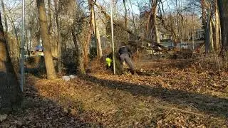 Bridgewater Police Officers rescue Deer