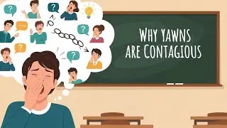Почему зевота заразительна &mdash; настоящая причина #факты #психология