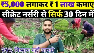 प्याज की नर्सरी से 5000 लगाकर 1 लाख कमाए | Onion Nursery Business | Pyaj Nursery Profit 2025