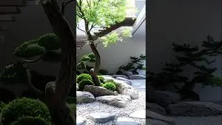Indoor Zen Garden  Create Your Calm Oasis