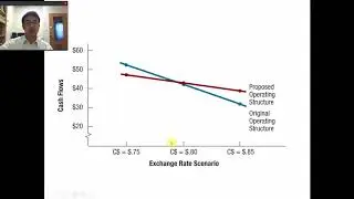 Economic Exposure