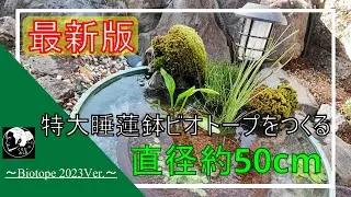 【2023年版】睡蓮鉢の円形ビオトープ立ち上げ
