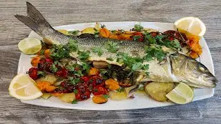 Coastal Foraging at Night - Delicious Sea Bass Catch and Cook - Lobster, Eel, Brown Crab, Wrasse!
