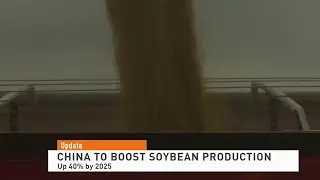 China Boost Soybean Production 011422