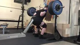 225kg paus