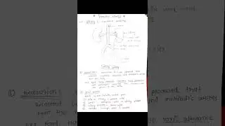 #kidney #structure #bpt #nursing #notes #biology #medicalnotes #notes #urinarysystem #medical