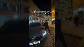 #bigmo