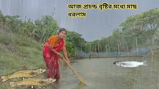 আজ প্রচন্ড ঝমঝম বৃষ্টির মধ্যে খালে মাছ ধরলাম ll Nandita Sundarban life