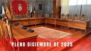 Pleno Ordinario del 26 de diciembre de 2025