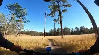 The Pineries Open Space III