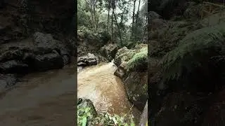 Cuando el clima y el ambiente se ponen en modo crep&uacute;sculo!!!!