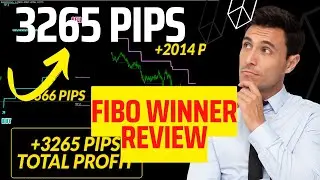 Fibo Winner Review - Is Fibo Winner A Profitable Forex Indicator?