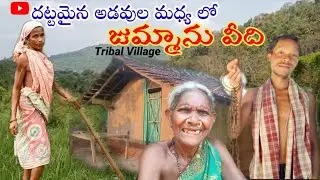 Tribal Village || Jummanu veedhi- Nookadora tribes|| Living in  forest..@Tribal Mirror