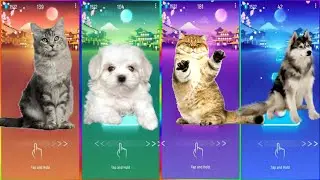 Tiles Hop Edm Rush Imagine Dragons Cat😍vs Kazantip Dog😍 vs BTS SAVAGE Cat😍vs Lady Gaga  Dog😍
