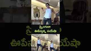 స్ప్రింగులా ఊపేస్తున్న సయేషా: Actress Sayyeshaa Superb Dance Moves #sayyeshaa #dance #viral #shorts