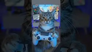 Cats with games #cats #catshorts #funnycats #cutecats #viralshorts #pets