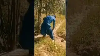 #thalvlog #punjabvlog #pindawale #pindvloge #pindlife #village #villagelife #villager #villagevlog
