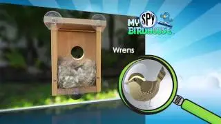 My Spy Birdhouse