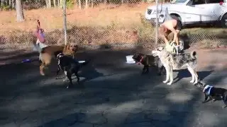Fairfield Harbour Dog Park
