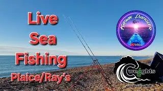KayakDangler's Fishing Adventures   Sea Fishing, Plaice and Ray's, #fishing #live #viral