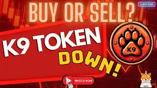 Buy or Sell? K9 Token & SHIB DROP #K9Token #Knine #K9Finance #SHIB #BAD #PAW