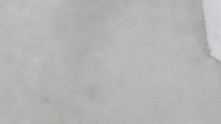 DSCN1706
