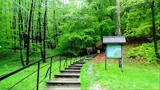 Romania. Baia de Fier. Cheile Galbenului.  Pestera Muierilor. Transalpina. Mai  2014