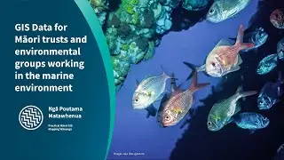 GIS Data for Māori trusts and environmental groups working in the marine environment