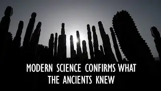 Nopalea: Modern Science Confirms what the Ancients Knew