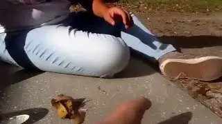 How to burn a leaf with a magnifying glass