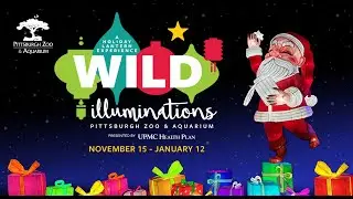 Wild Illuminations at the Pittsburgh Zoo & Aquarium