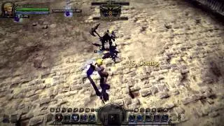 Halfmoon Slash EX Combos