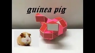 Rubik's Twist or Rubik's Transformable Snake 60 - Guinea Pig - 老鼠