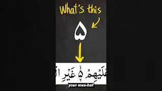 What is this symbol? #quran #tajweed #learnquran #learntajweed #arabic101