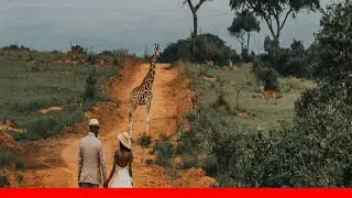 50 Best Couple Photography Destination Photos Of 2017 !