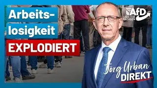Nur die AfD steht f&uuml;r wirtschaftlichen Aufbruch! | J&ouml;rg Urban Direkt