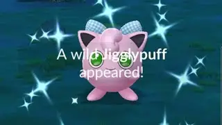 I PLAYED POKEMON GO ON NEW YEARS! HERES WHAT HAPPENED #POKEMONGO 