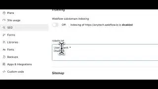How to write your Robot.txt on Webflow?