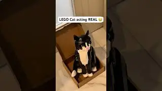 This LEGO Cat Is Too Real 😭