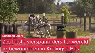 'DEMONSTRATIE voelt als een WEDSTRIJD' | Vierspanner KOOS DE RONDE komt in actie op CHIO ROTTERDAM