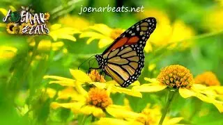 🌼 Change | Mood: Empowered | Prod. Joenar Beats