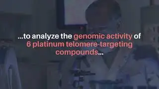 Oncotarget: Metal Compounds Induce DNA Instability in Cancer Cells