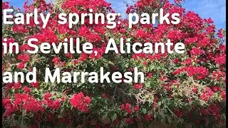 PLANTS in SPAIN and MOROCCO in early SPRING  #park #garden #spain #morocco