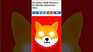 09-04-2022 CRYPTO NEWS, 8 BILLION shiba coin send WHALE 🐋, FTM COIN NEWS,#ytshorts #youtubeshorts