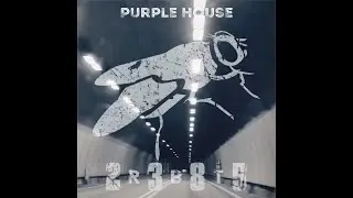 2385 RBT   Purple House
